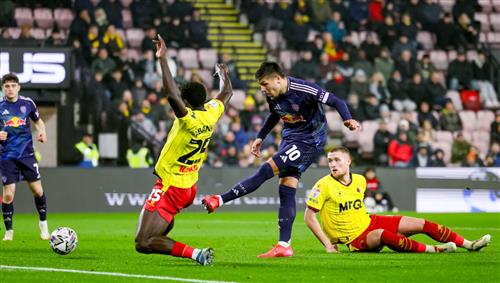 MSport Bet UG: Ultimate Guide to Sports Betting